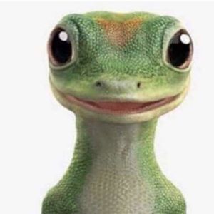 Meet your Posher, Joey